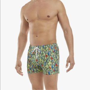 Colorful 2(X)IST swim trunks - NWT!